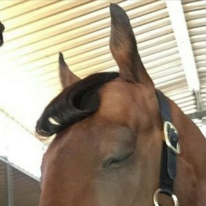 Meet your Posher, Bryanna